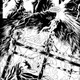 Illustration for article titled iFrankensteins Womb /iis the Spiritual Antithesis to iFrom Hell/i